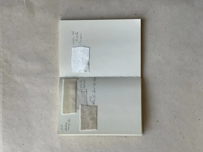 Gone But Not Forgotten: Your Survival Guide for Tracking Down Discontinued Papers